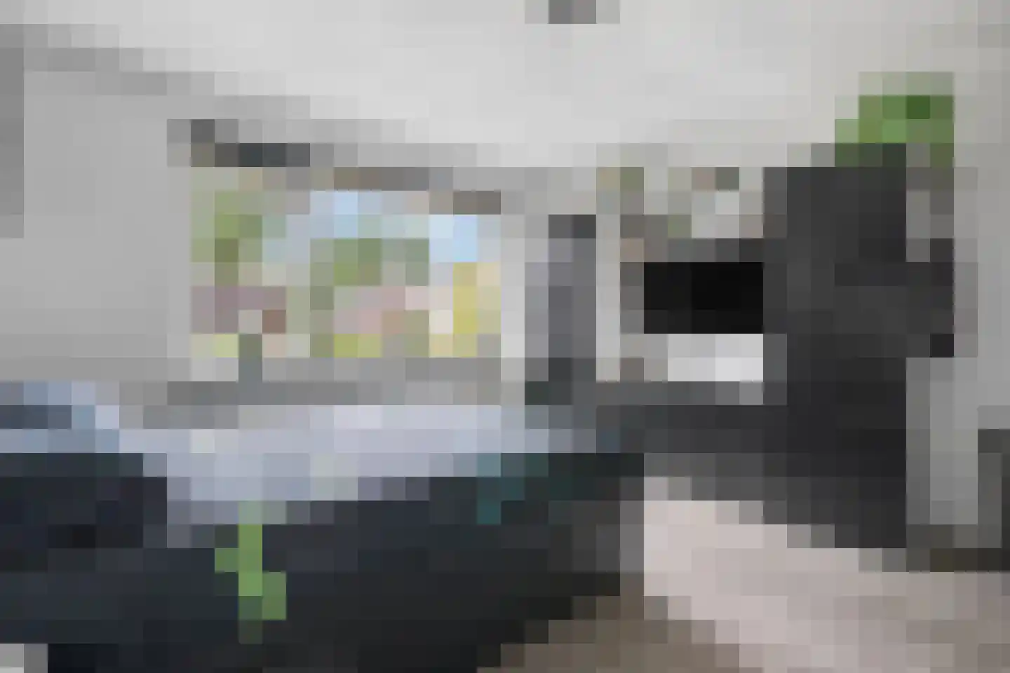 't Hazeveld 101 Nijkerk thumbnail 19