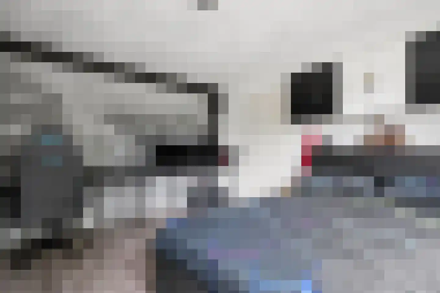 't Hazeveld 101 Nijkerk thumbnail 20