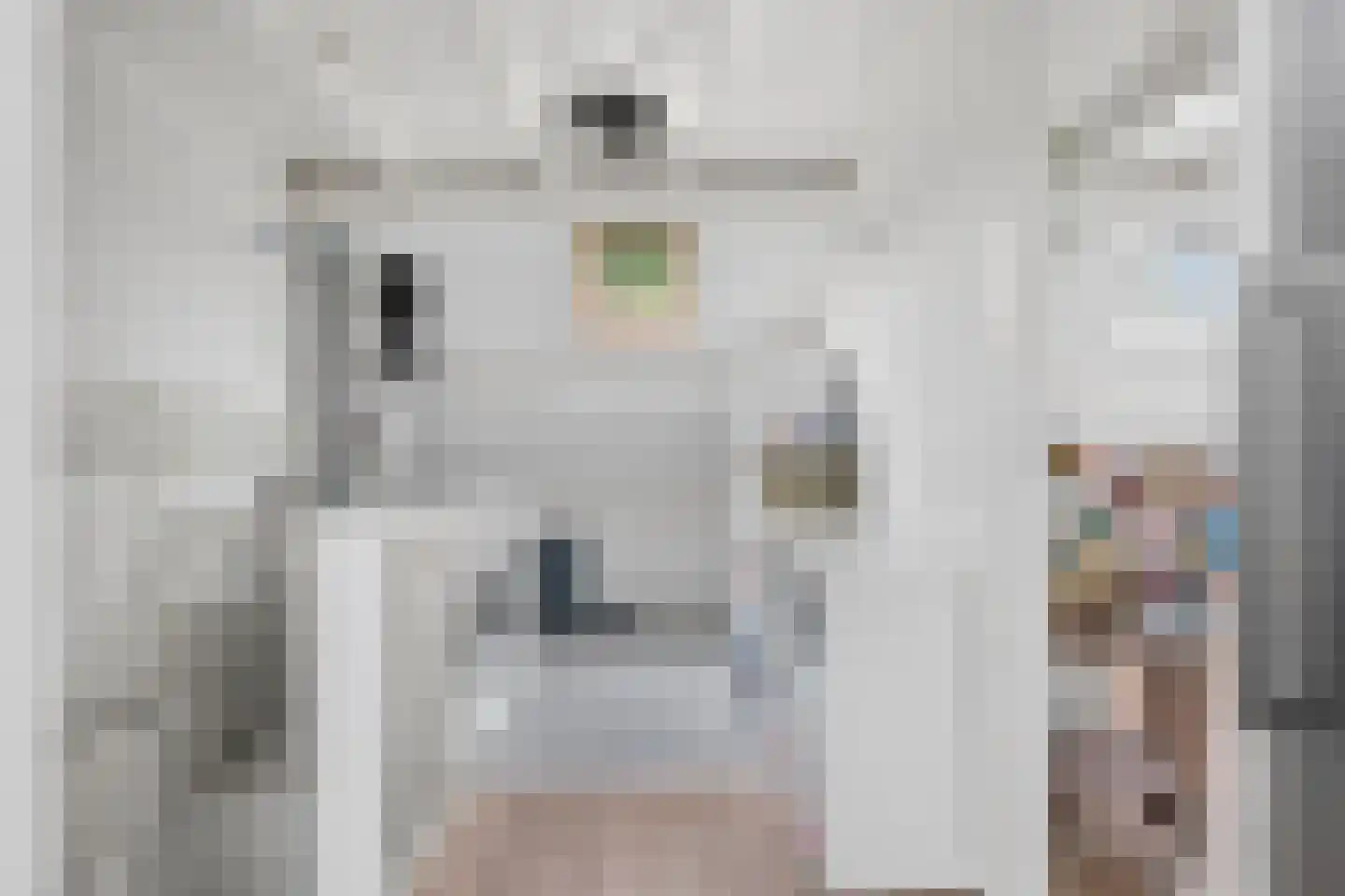 't Hazeveld 101 Nijkerk thumbnail 30