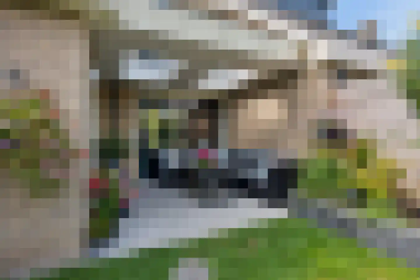 't Hazeveld 101 Nijkerk thumbnail 32