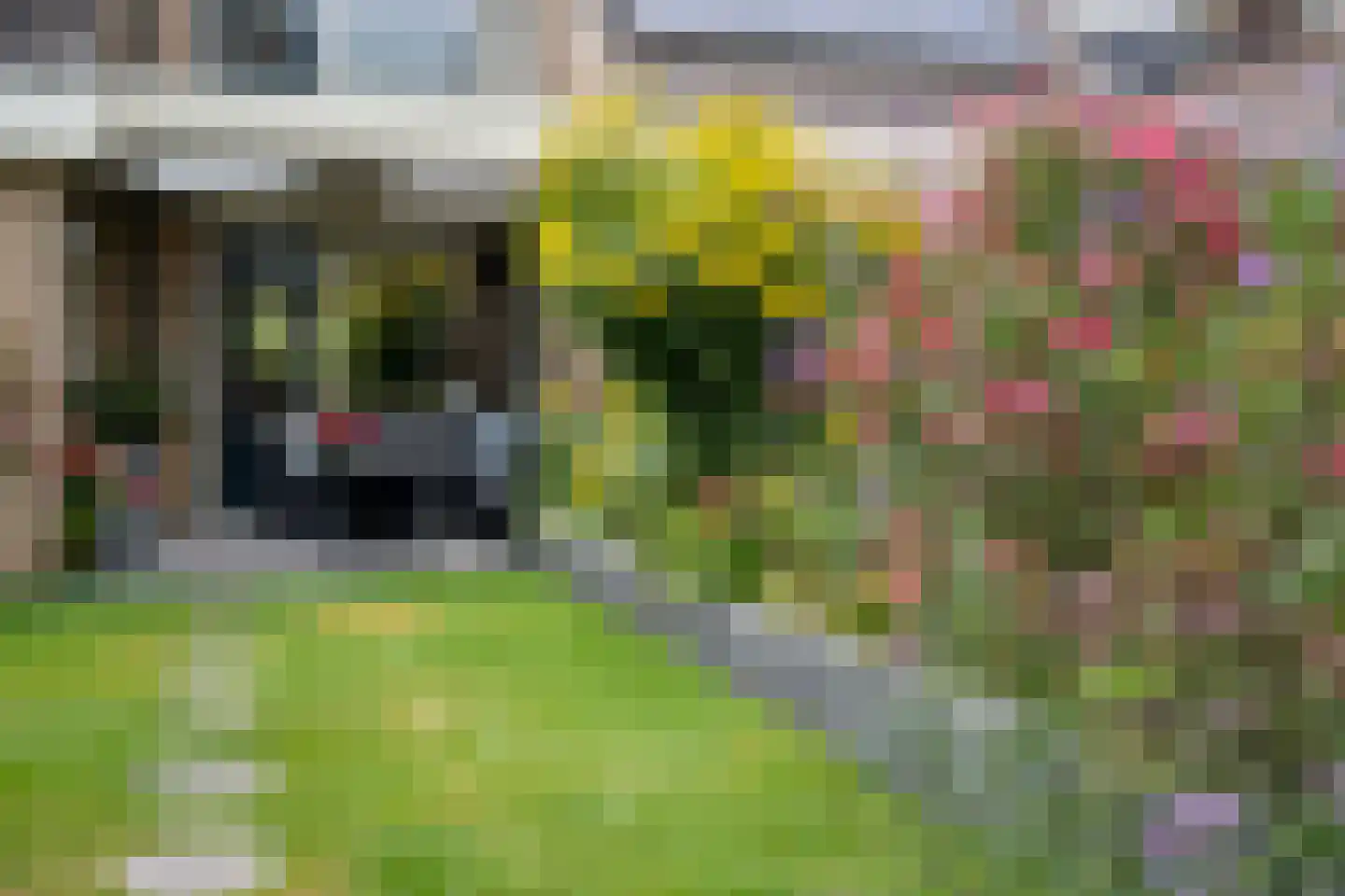 't Hazeveld 101 Nijkerk thumbnail 33
