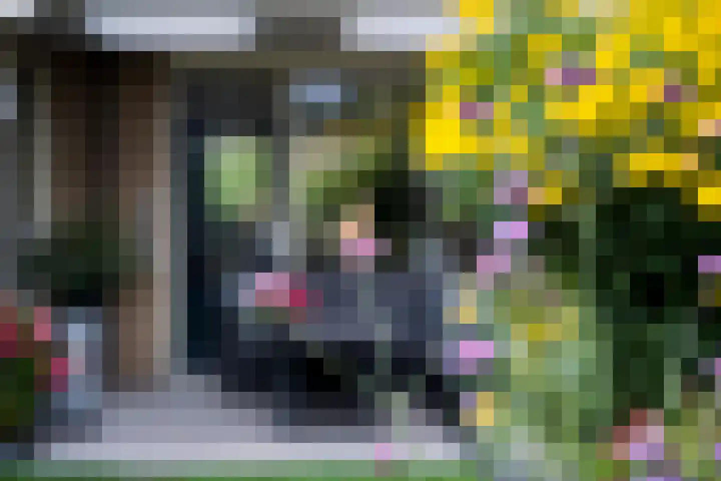 't Hazeveld 101 Nijkerk thumbnail 34