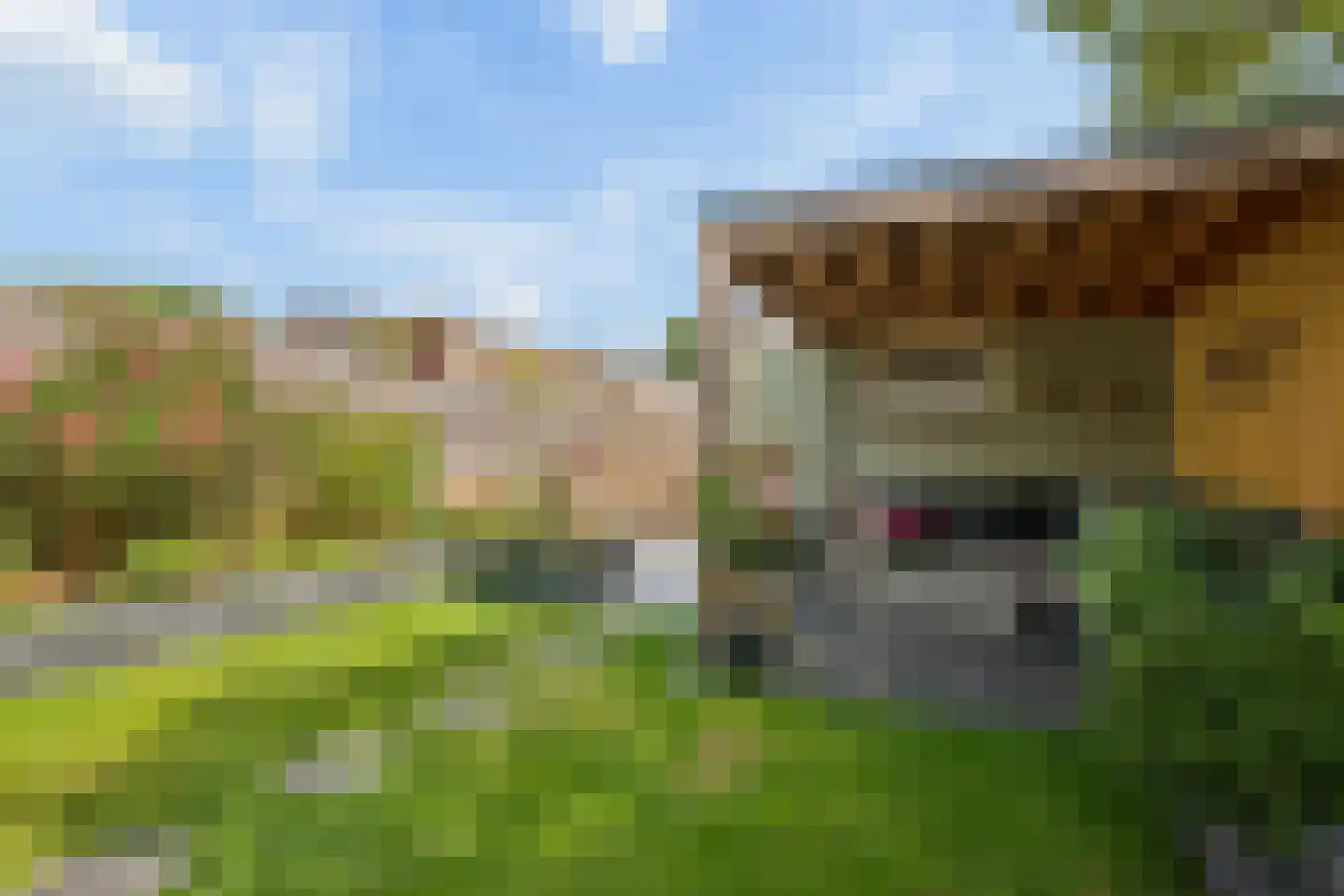 't Hazeveld 101 Nijkerk thumbnail 36