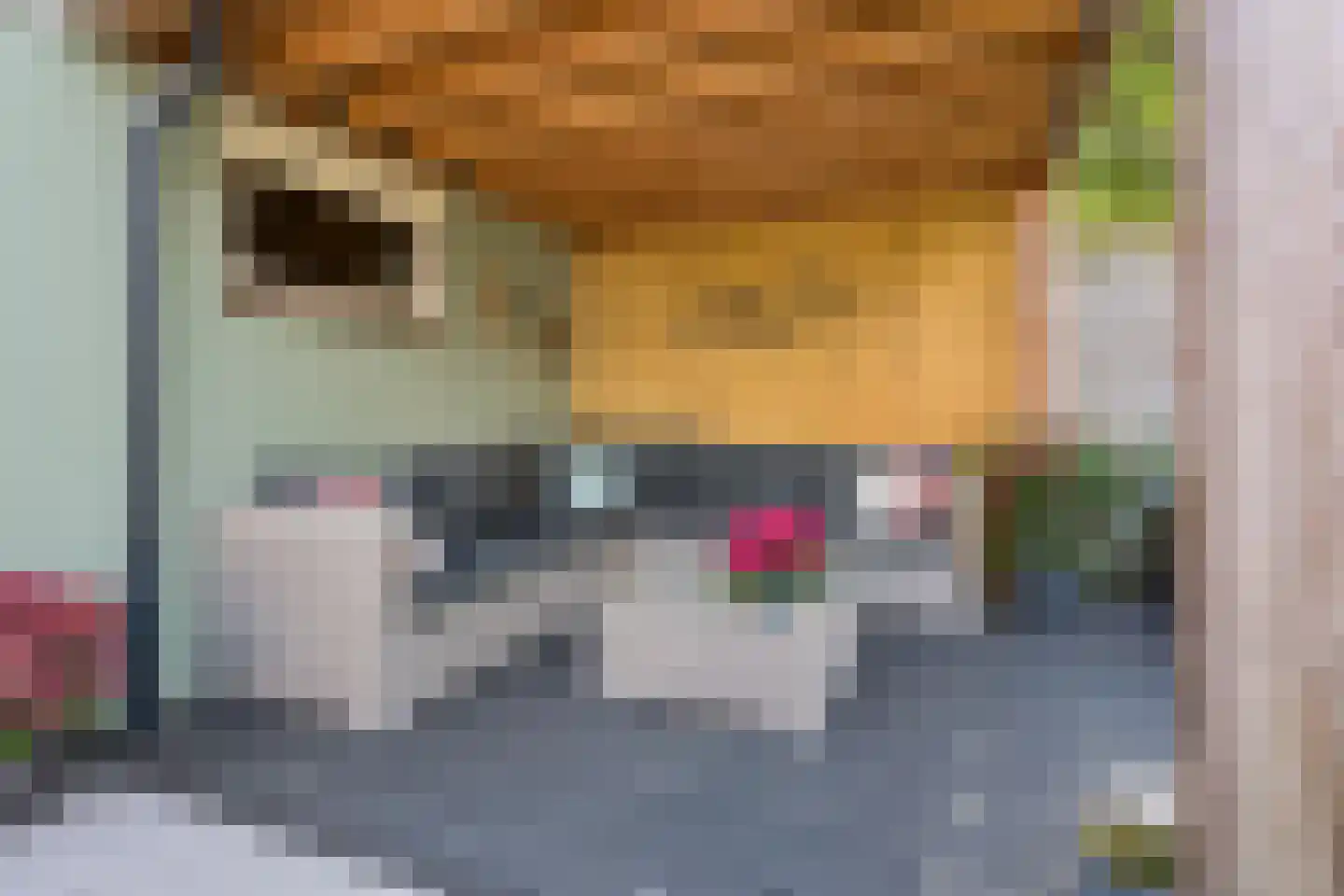 't Hazeveld 101 Nijkerk thumbnail 37
