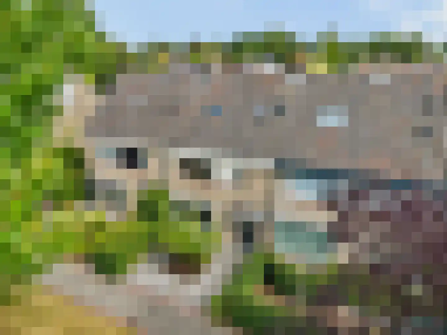 't Hazeveld 101 Nijkerk thumbnail 39