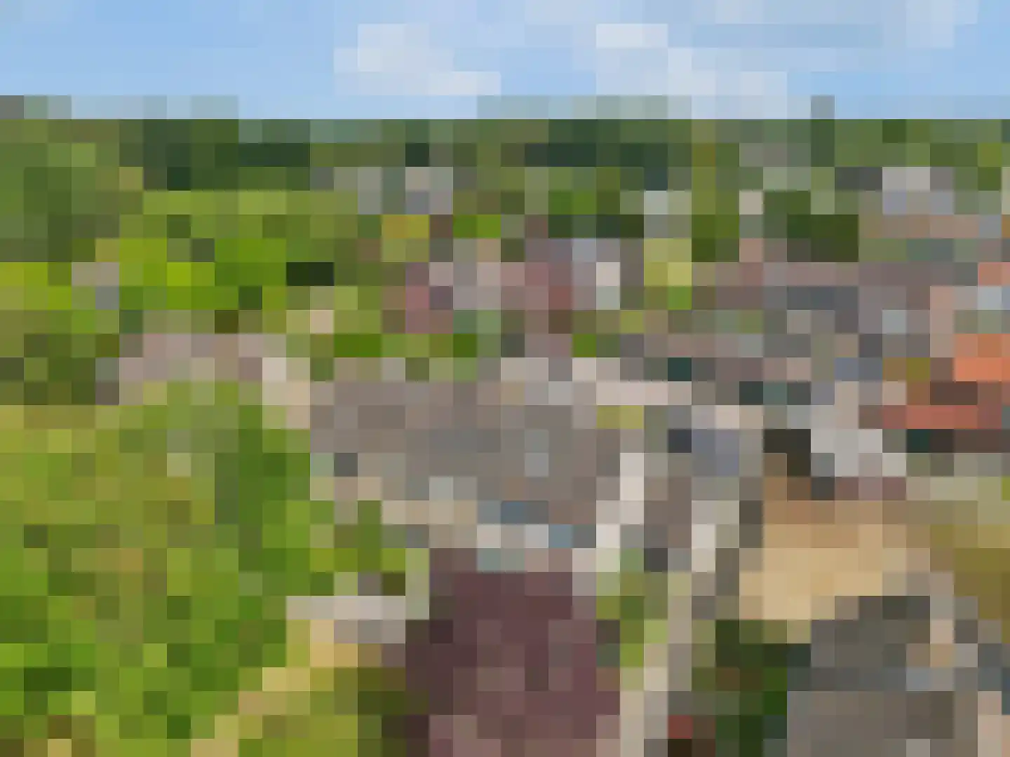't Hazeveld 101 Nijkerk thumbnail 45