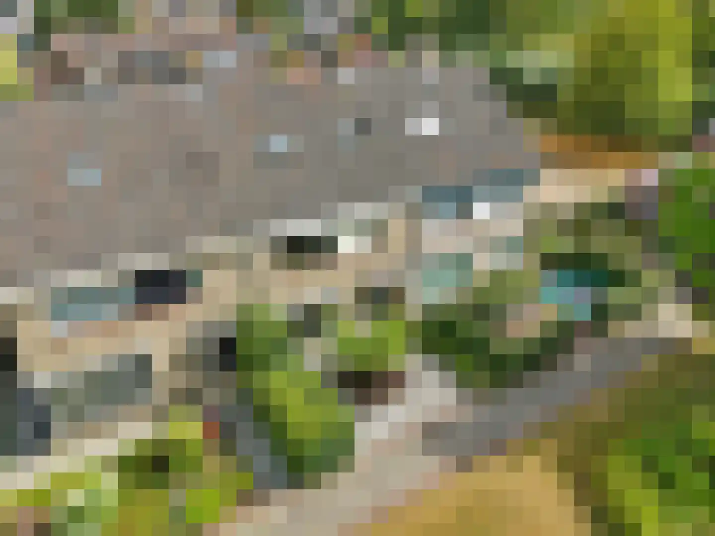 't Hazeveld 101 Nijkerk thumbnail 46