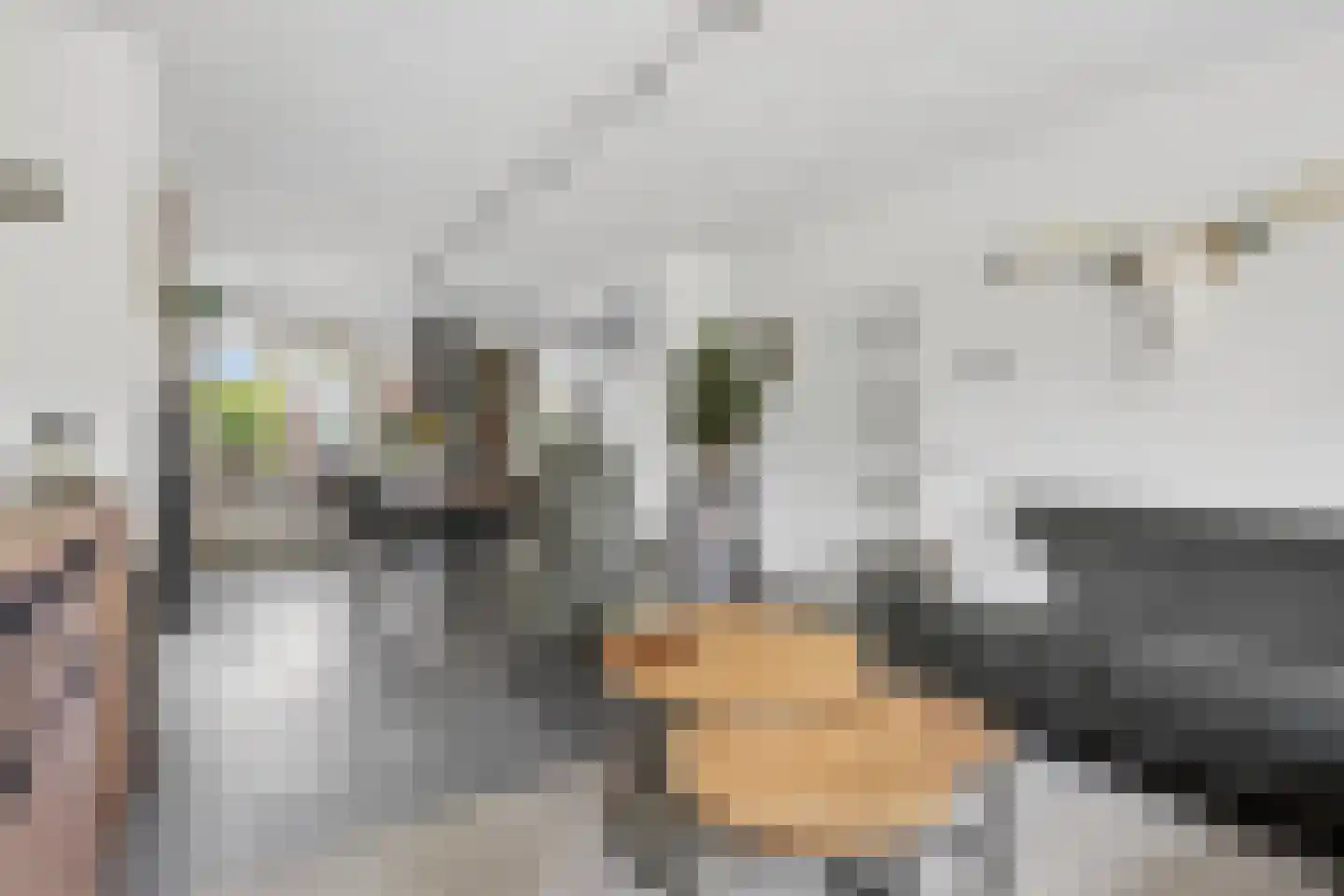 't Hazeveld 101 Nijkerk thumbnail 9