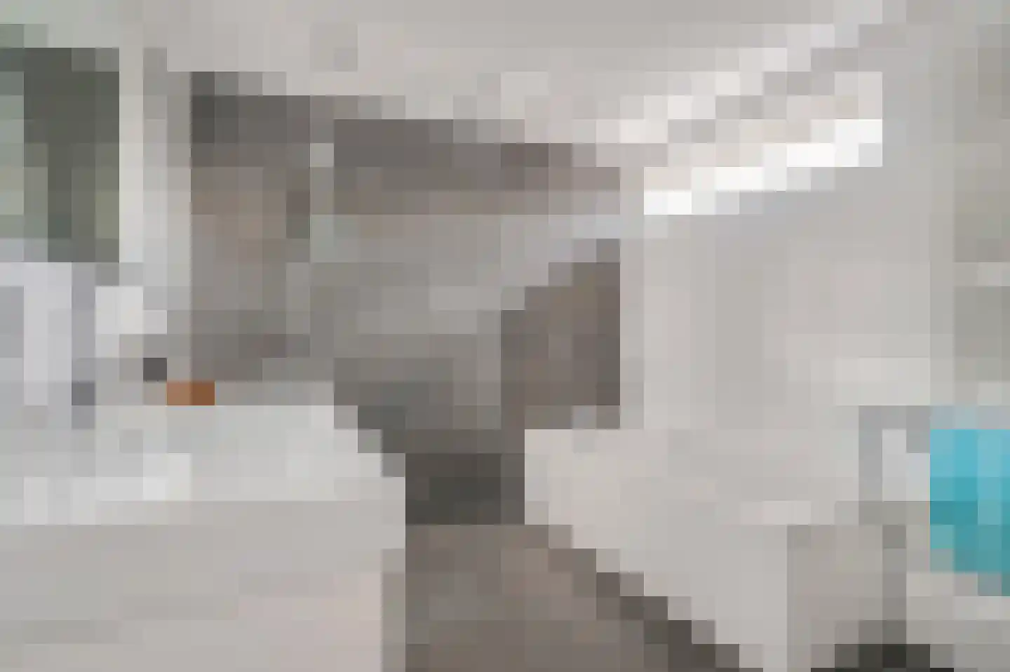 't Hazeveld 109 Nijkerk thumbnail 19