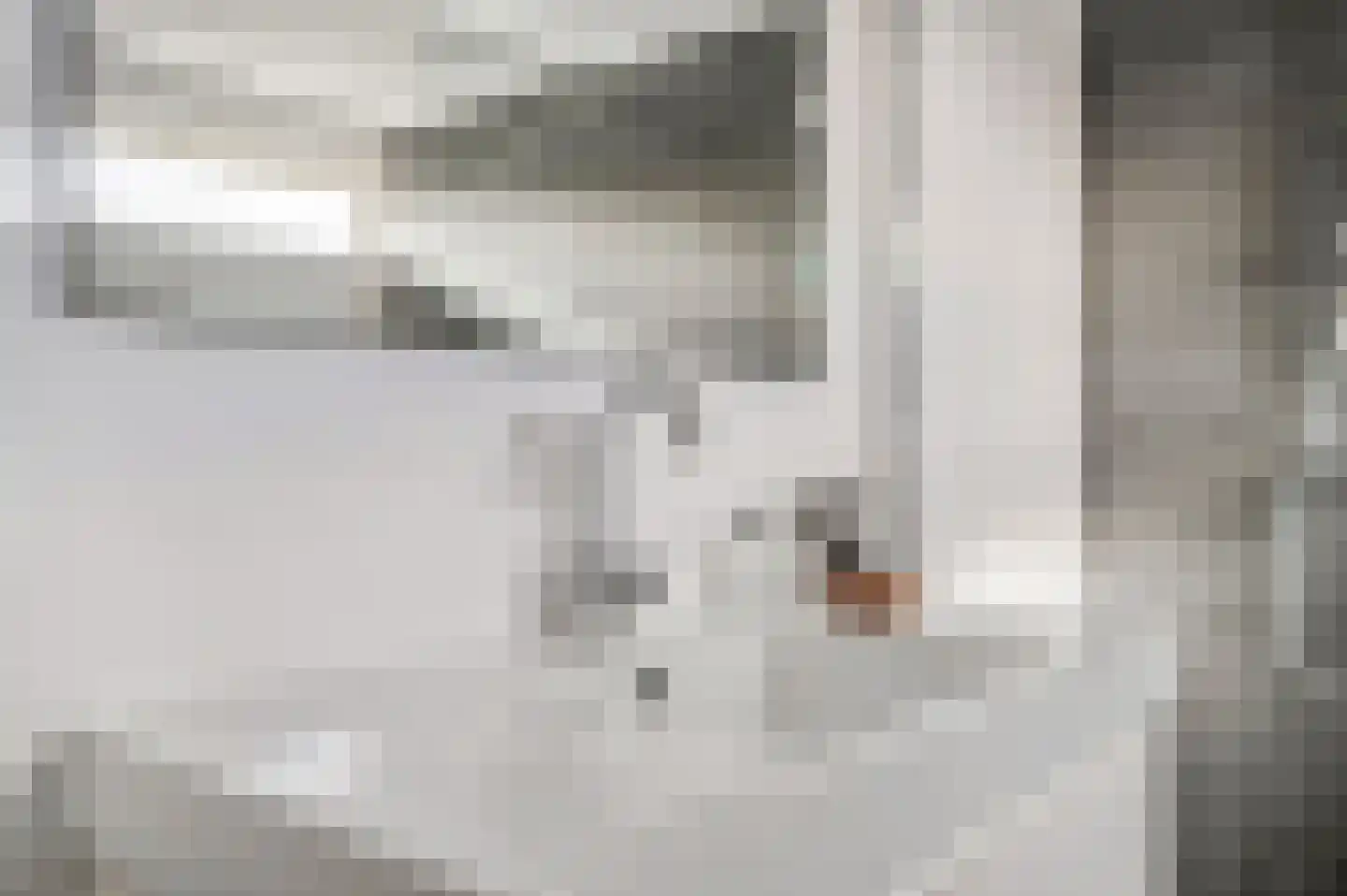 't Hazeveld 109 Nijkerk thumbnail 21