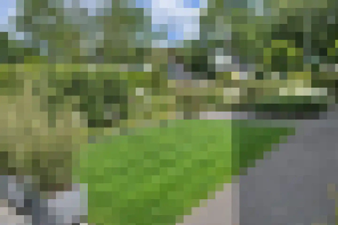 't Hazeveld 109 Nijkerk thumbnail 41