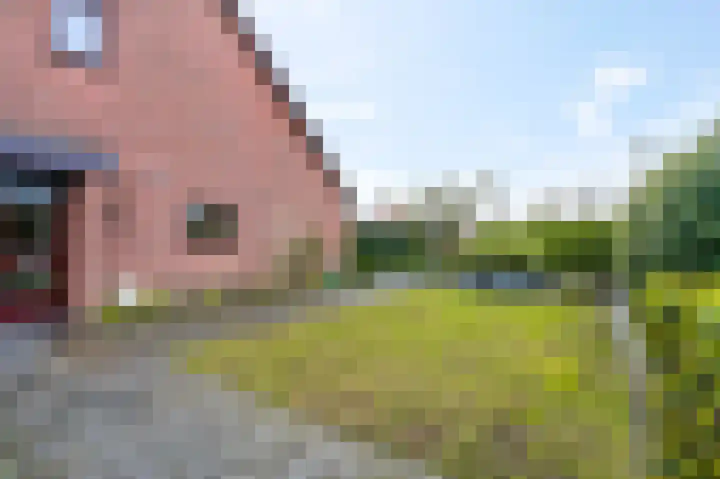 't Hazeveld 109 Nijkerk thumbnail 43