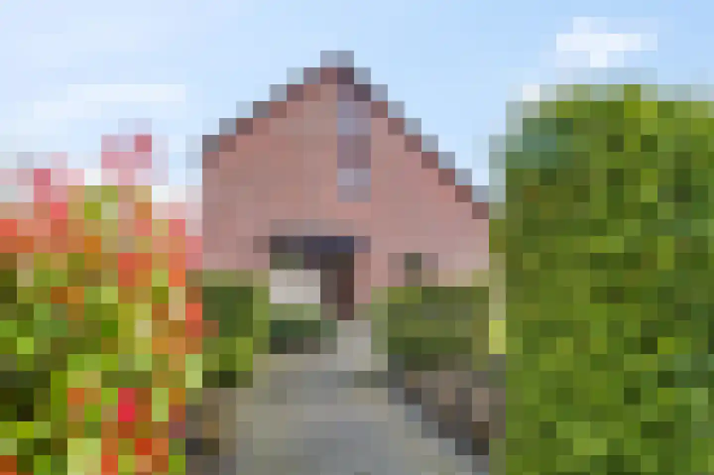 't Hazeveld 109 Nijkerk thumbnail 46