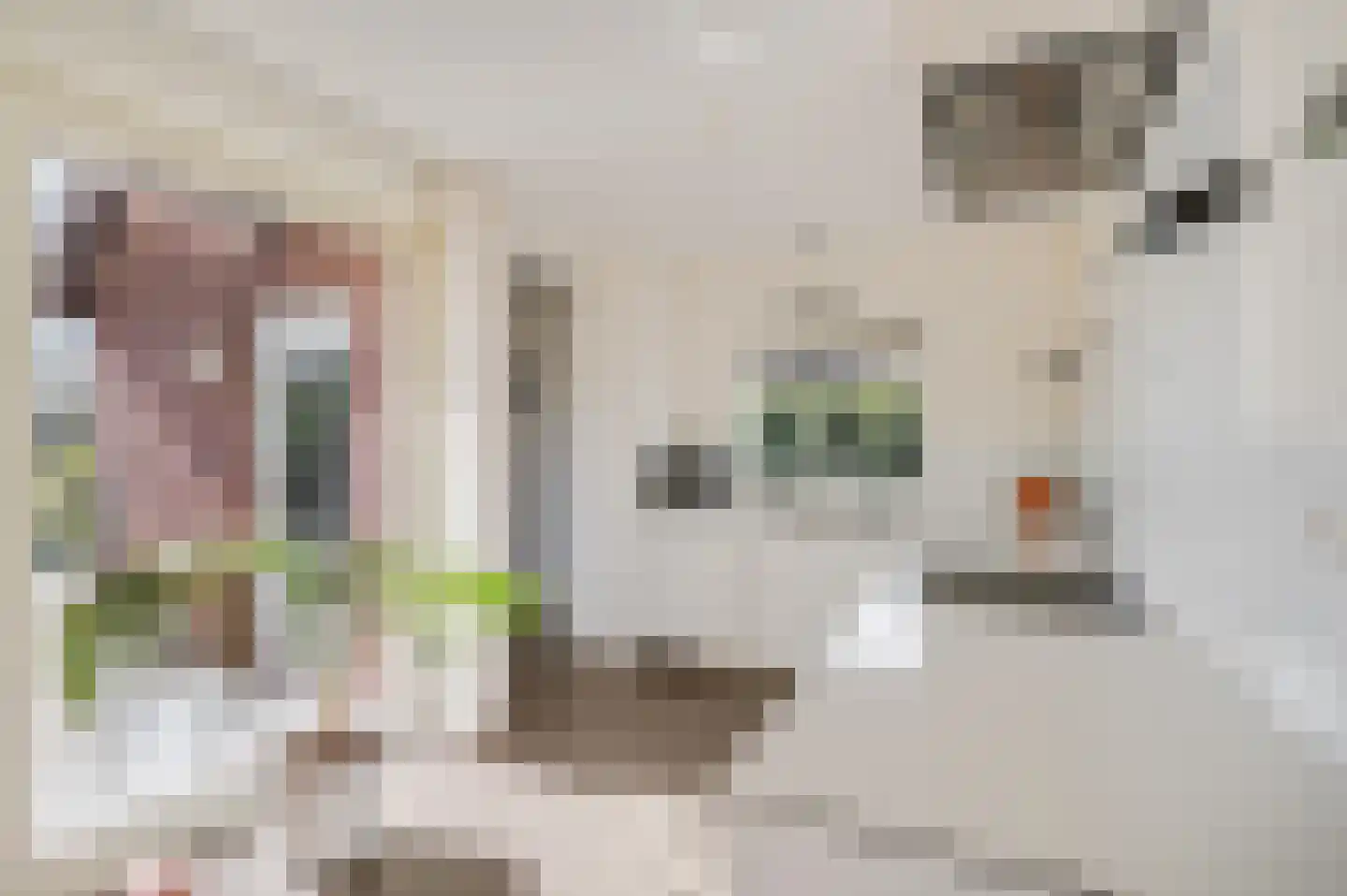 't Hazeveld 109 Nijkerk thumbnail 5