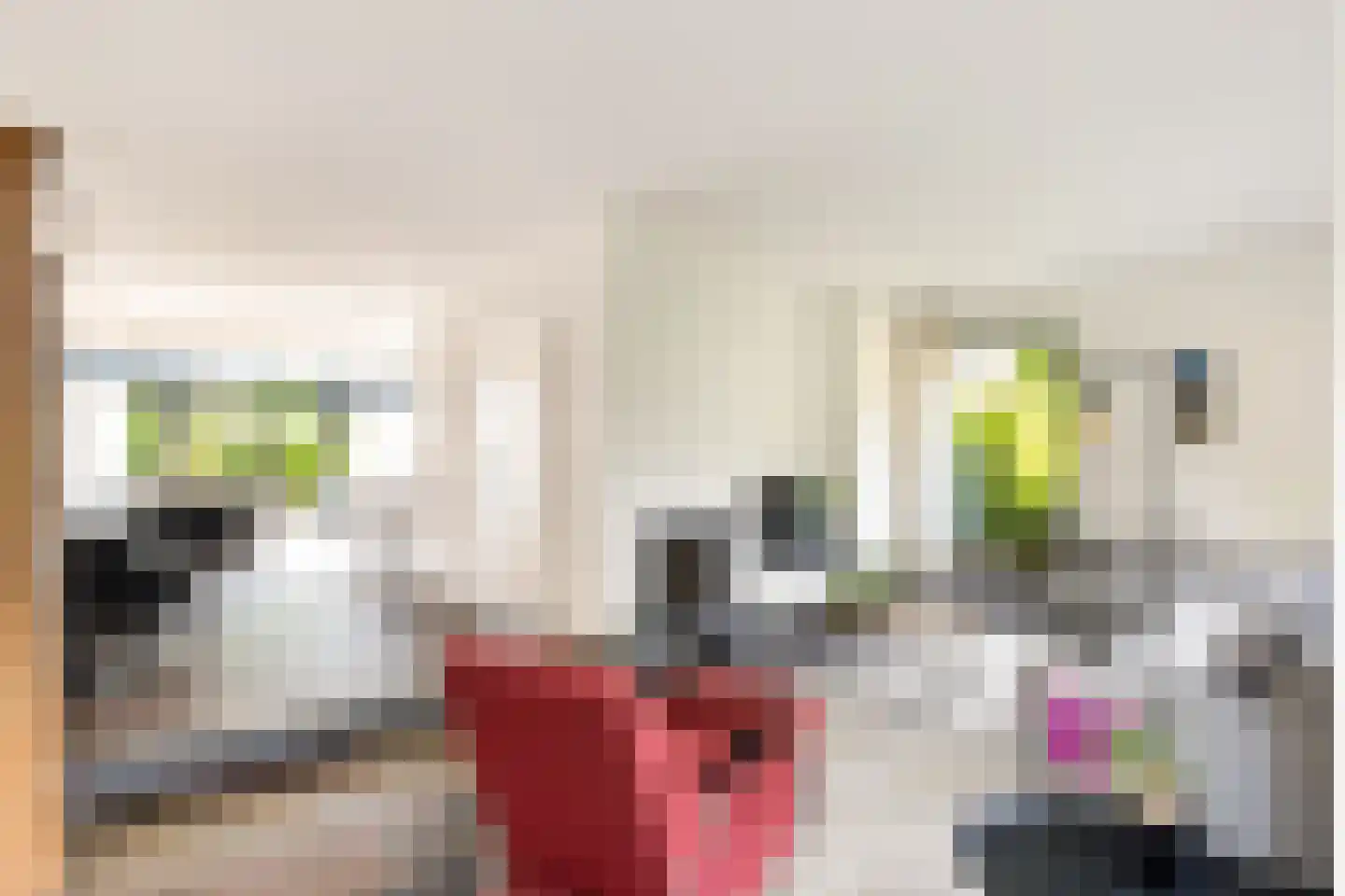 't Hazeveld 13 Nijkerk thumbnail 12