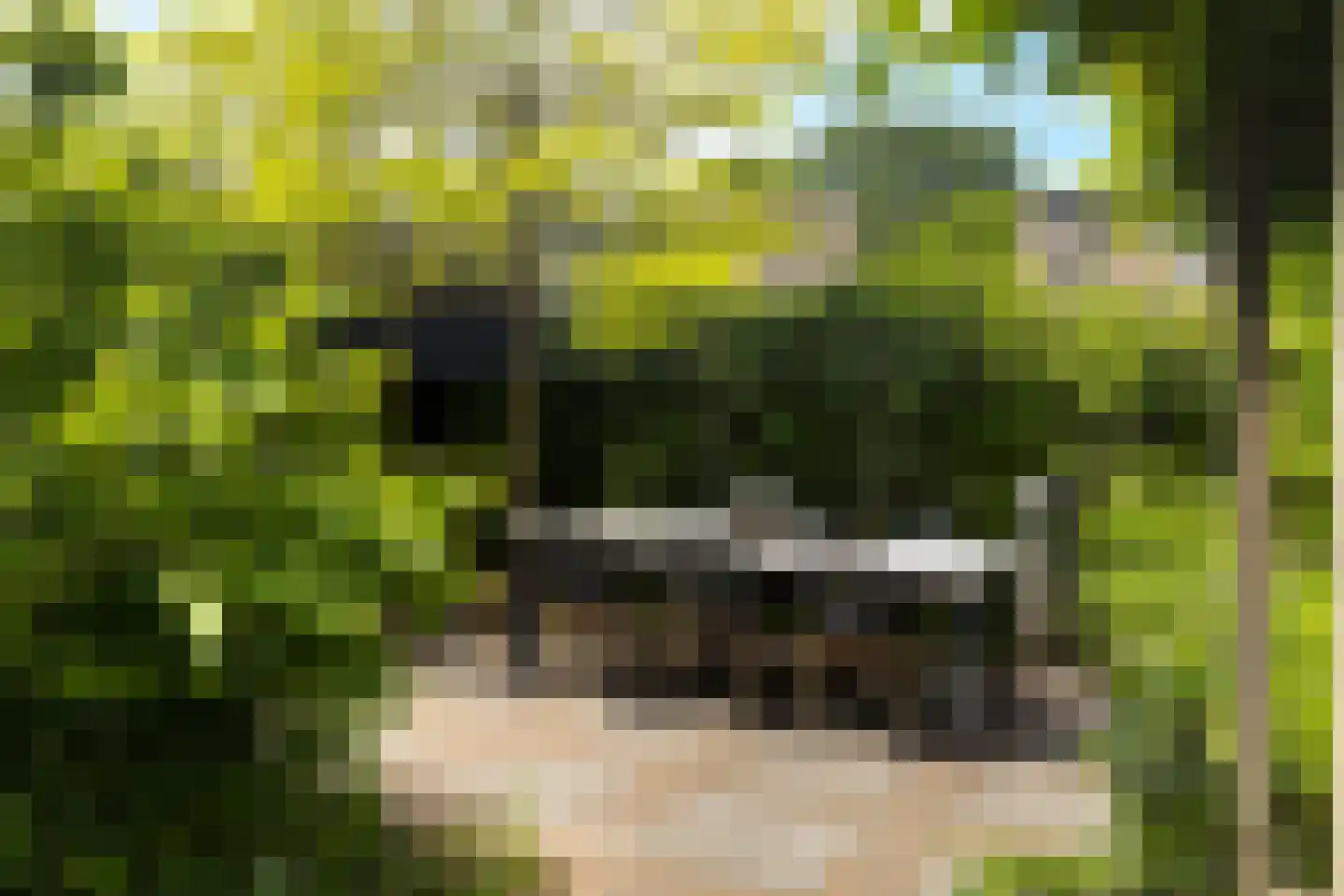 't Hazeveld 13 Nijkerk thumbnail 16