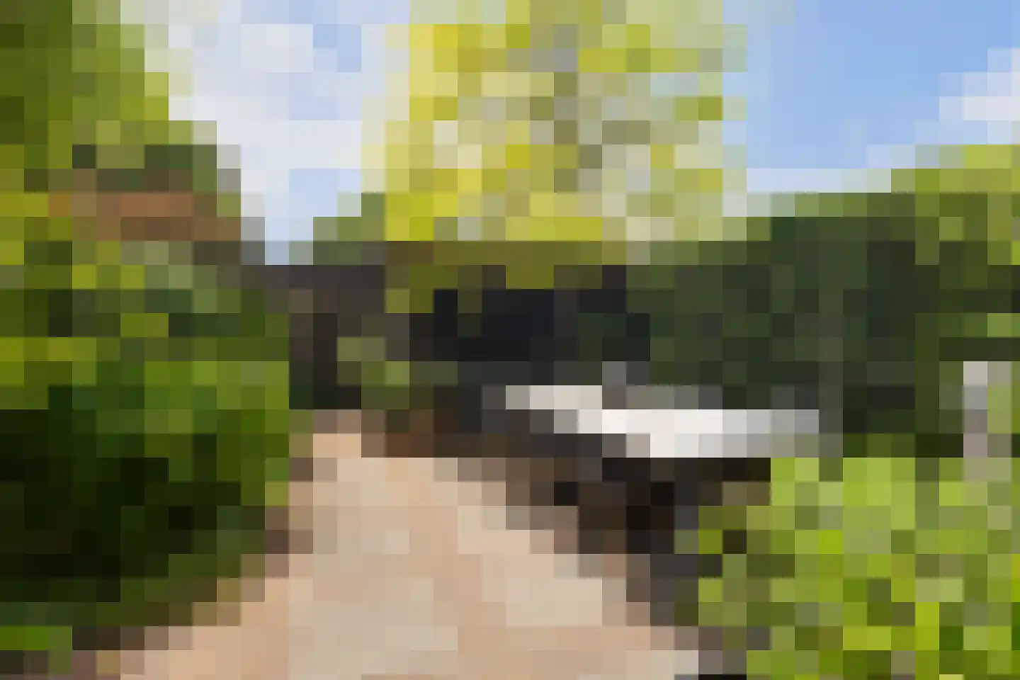 't Hazeveld 13 Nijkerk thumbnail 17