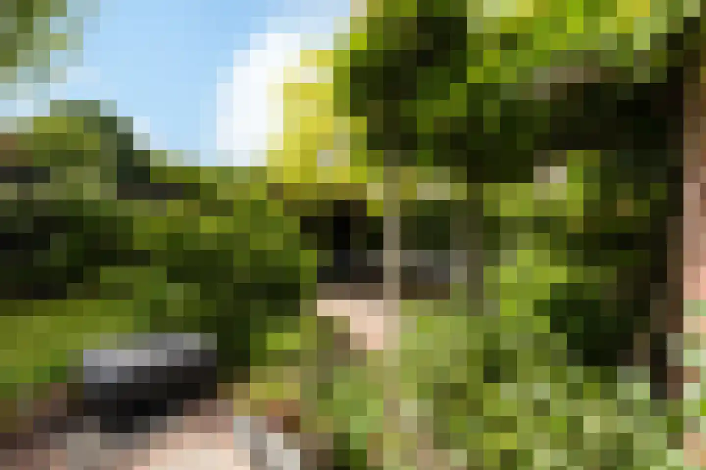 't Hazeveld 13 Nijkerk thumbnail 18