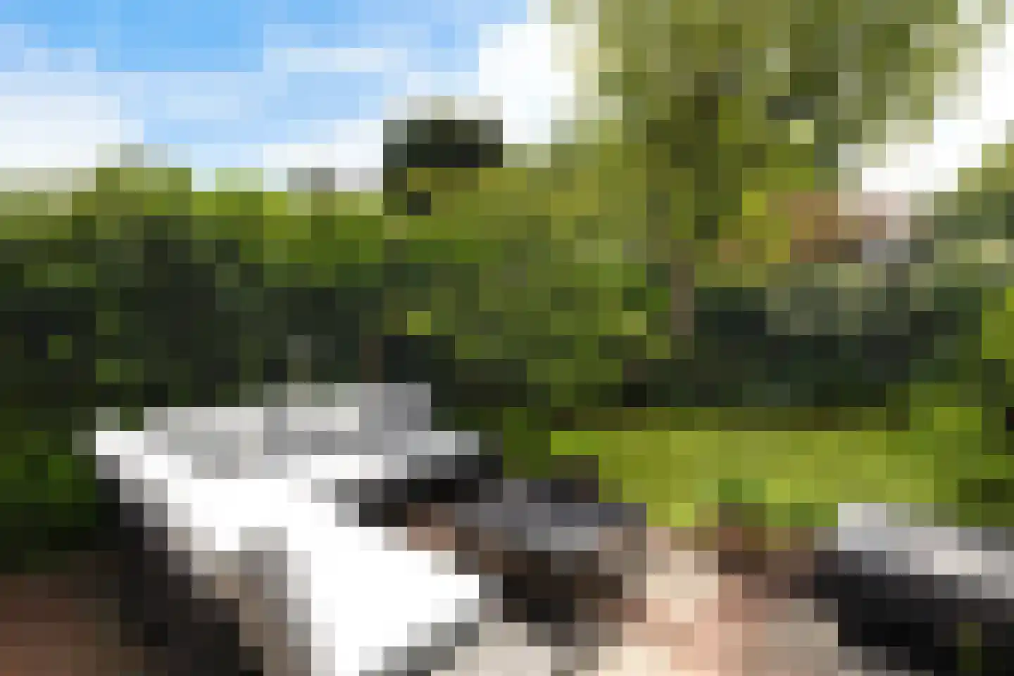 't Hazeveld 13 Nijkerk thumbnail 20