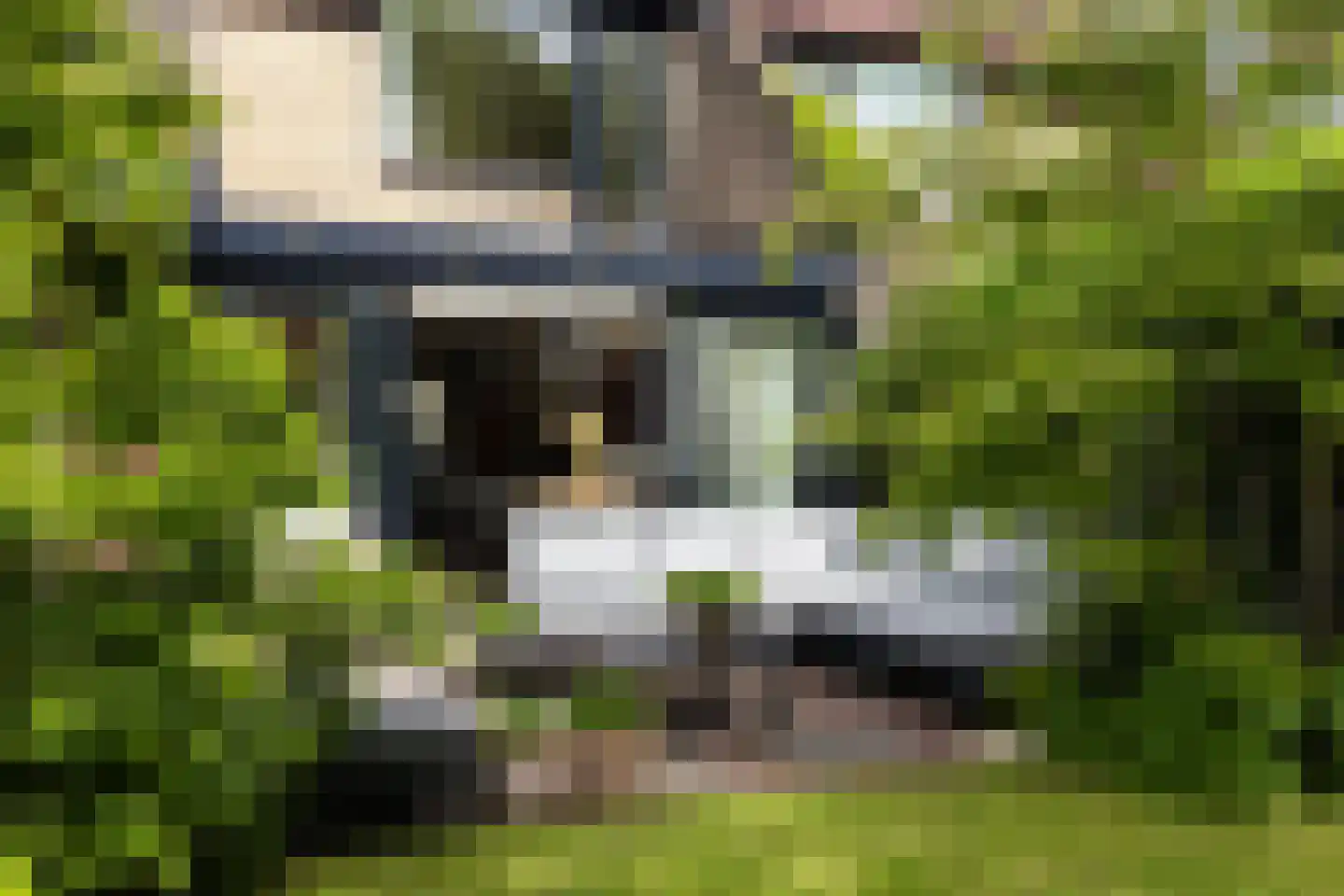 't Hazeveld 13 Nijkerk thumbnail 21