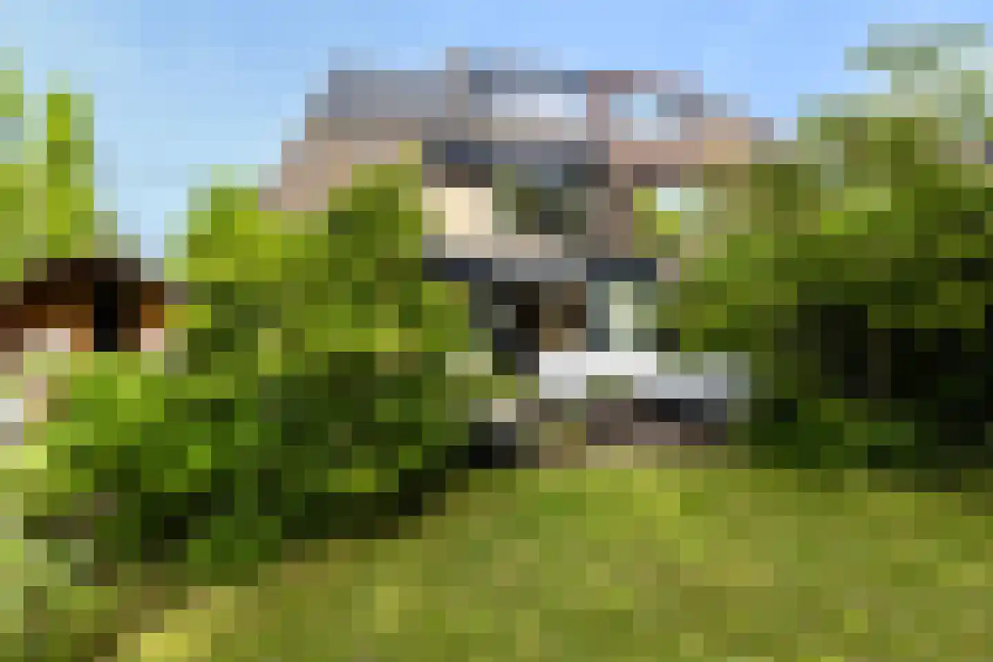 't Hazeveld 13 Nijkerk thumbnail 22