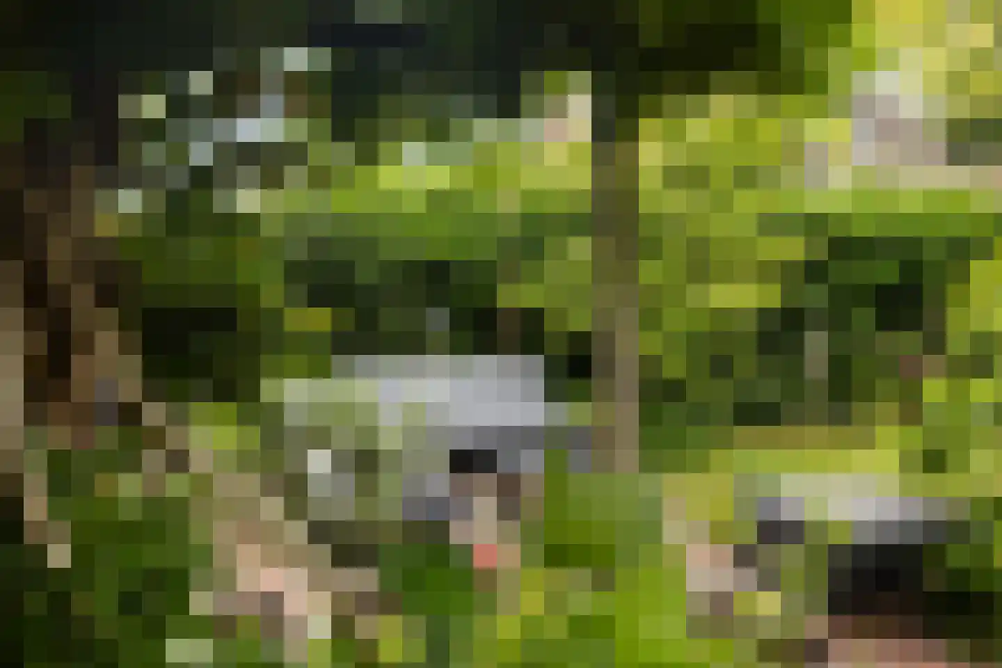 't Hazeveld 13 Nijkerk thumbnail 24