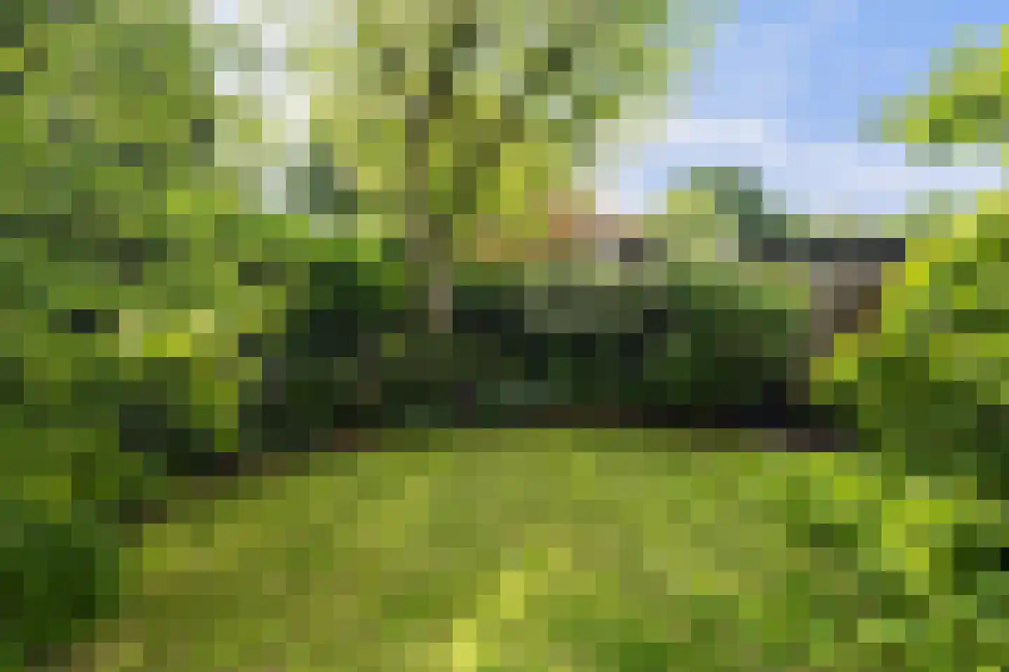 't Hazeveld 13 Nijkerk thumbnail 25