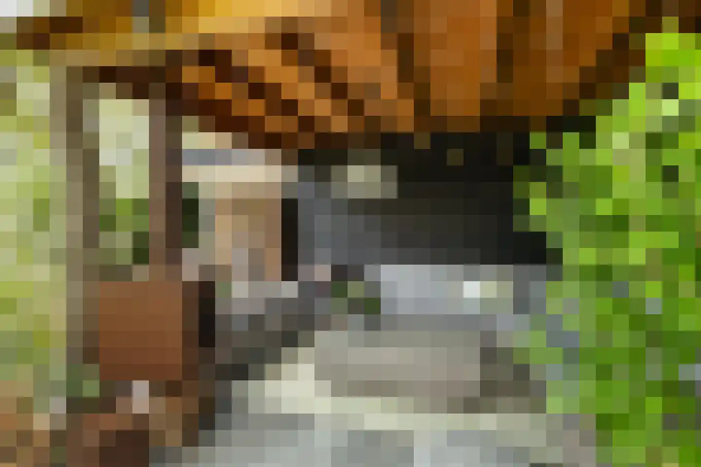 't Hazeveld 13 Nijkerk thumbnail 27