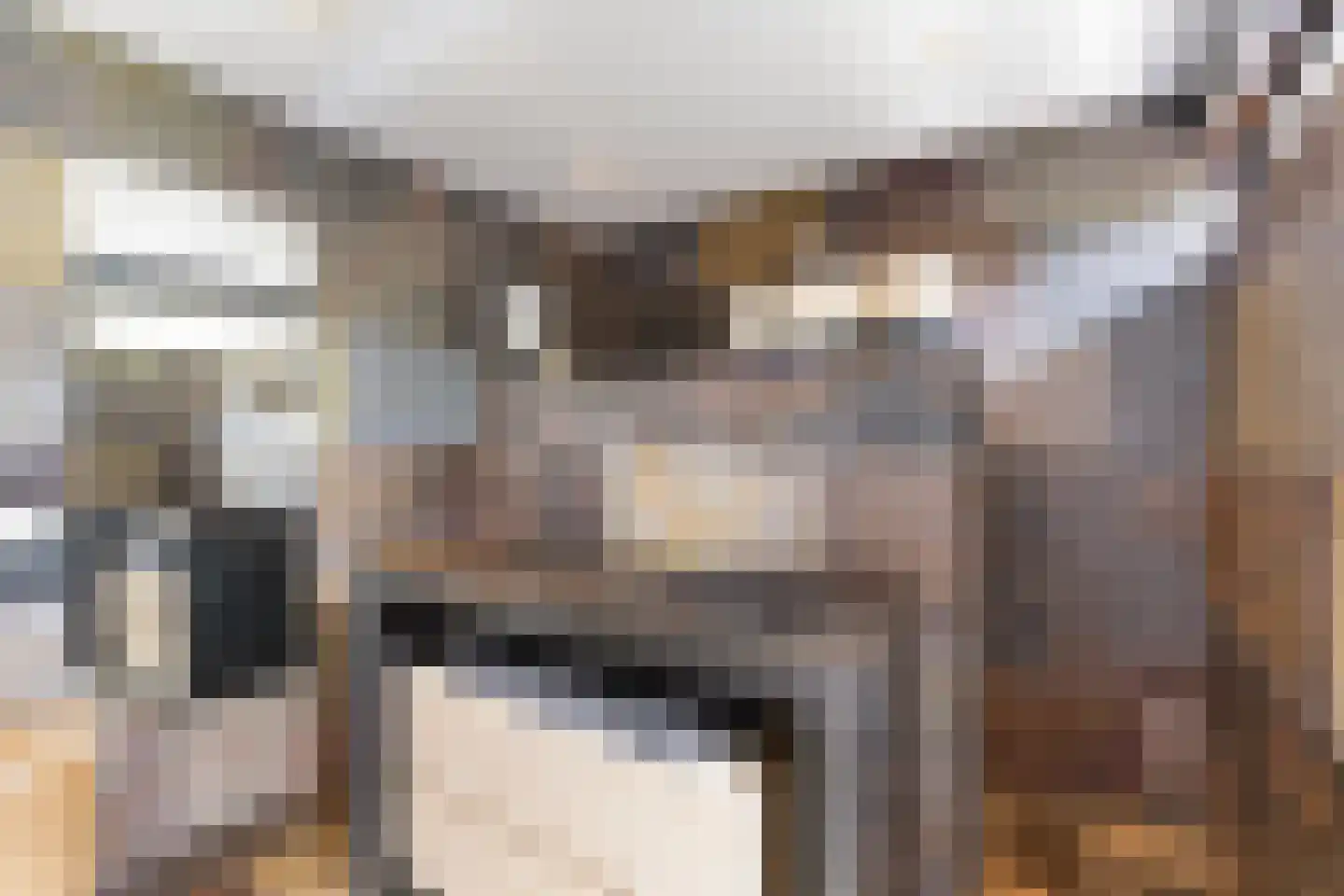 't Hazeveld 13 Nijkerk thumbnail 33