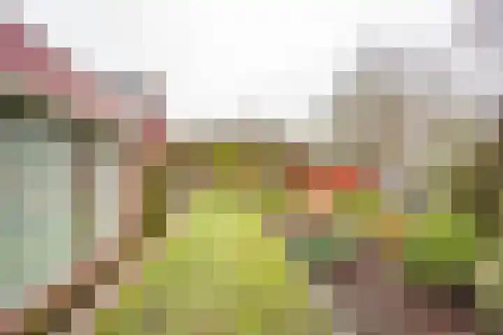 't Hazeveld 40 Nijkerk thumbnail 11