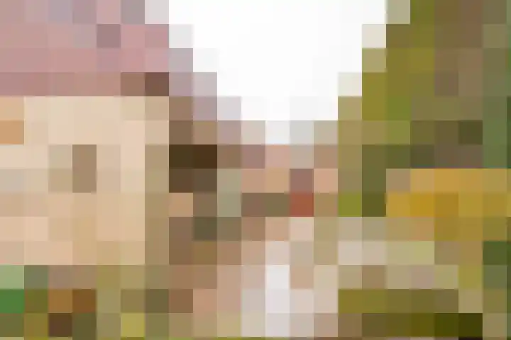 't Hazeveld 40 Nijkerk thumbnail 12