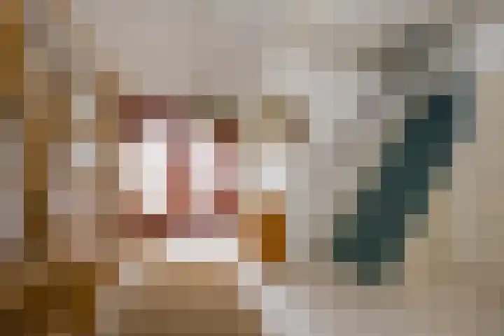 't Hazeveld 40 Nijkerk thumbnail 14
