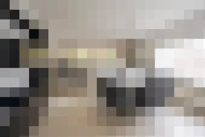 't Hazeveld 40 Nijkerk thumbnail 25