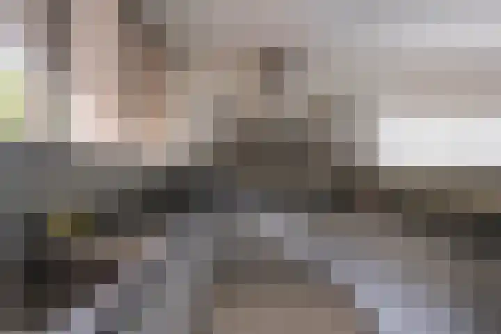 't Hazeveld 40 Nijkerk thumbnail 27