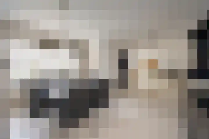 't Hazeveld 40 Nijkerk thumbnail 28