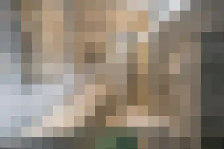 't Hazeveld 40 Nijkerk thumbnail 33