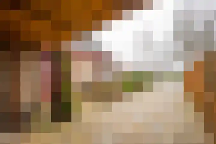 't Hazeveld 40 Nijkerk thumbnail 4