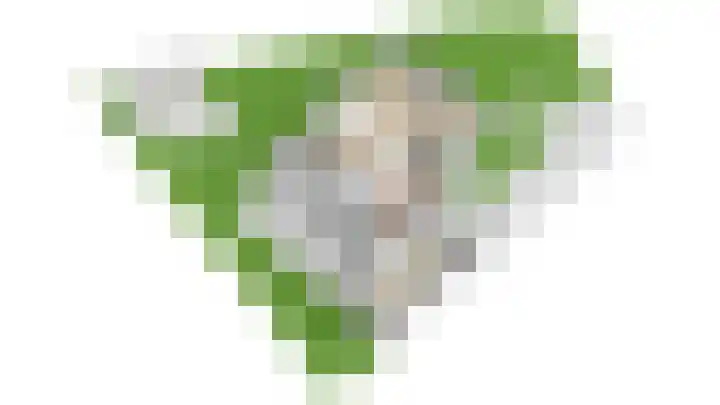 't Hazeveld 40 Nijkerk thumbnail 59