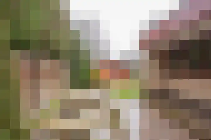 't Hazeveld 40 Nijkerk thumbnail 6