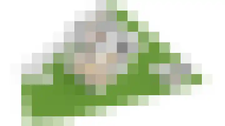 't Hazeveld 40 Nijkerk thumbnail 60
