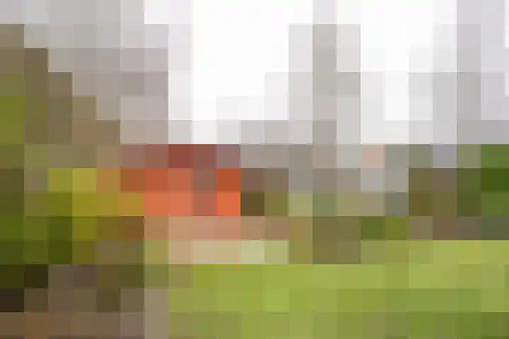 't Hazeveld 40 Nijkerk thumbnail 7