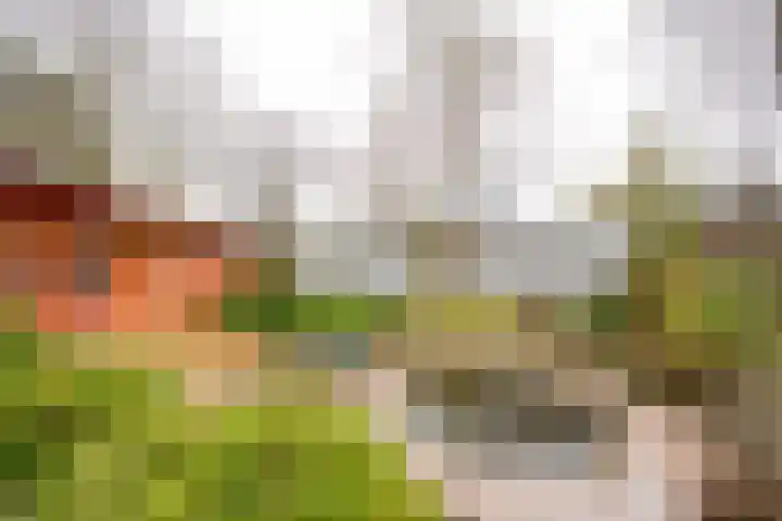 't Hazeveld 40 Nijkerk thumbnail 8
