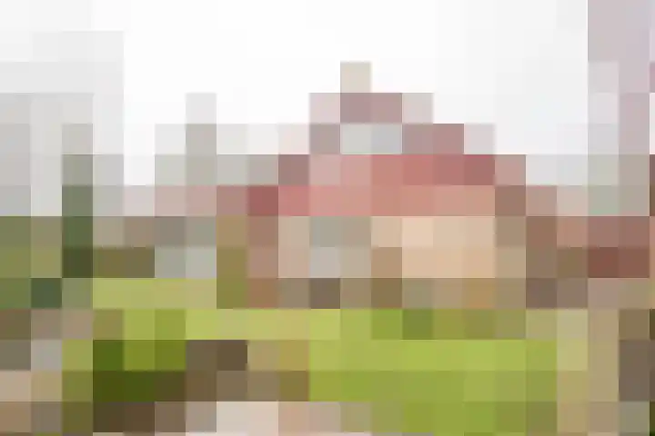 't Hazeveld 40 Nijkerk thumbnail 9