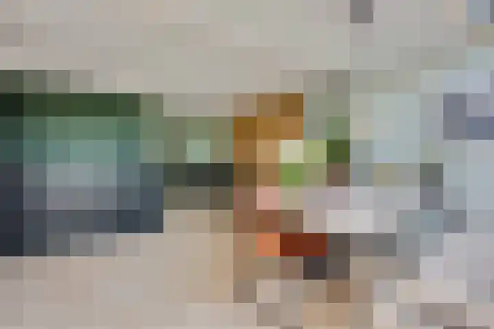 't Hazeveld 51 Nijkerk thumbnail 14