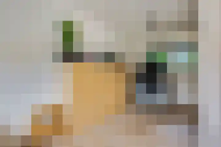 't Hazeveld 51 Nijkerk thumbnail 19