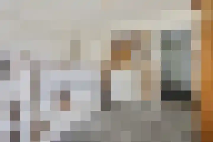 't Hazeveld 51 Nijkerk thumbnail 27