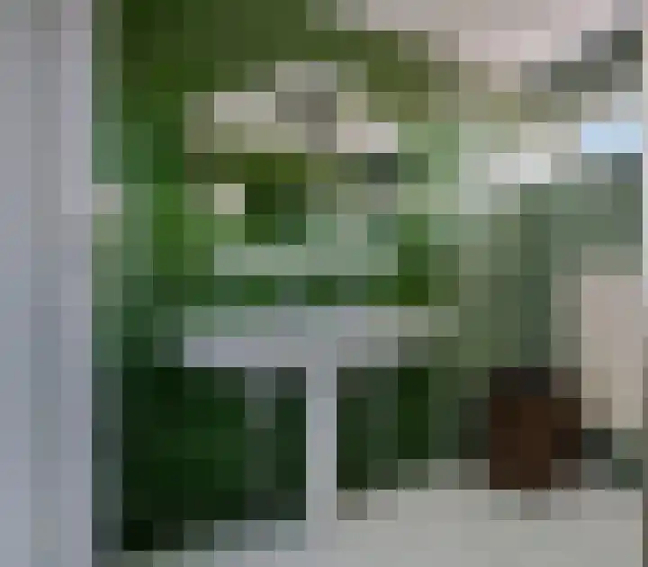 't Hazeveld 51 Nijkerk thumbnail 30