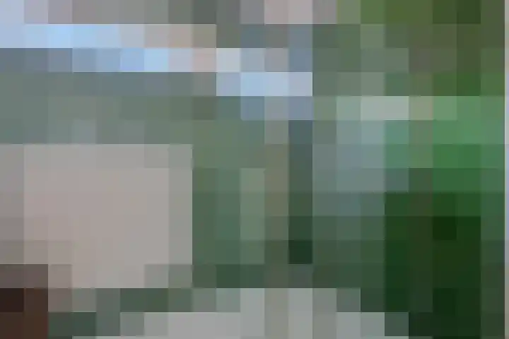 't Hazeveld 51 Nijkerk thumbnail 31