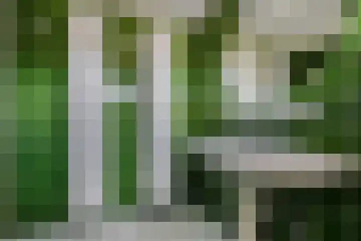 't Hazeveld 51 Nijkerk thumbnail 32