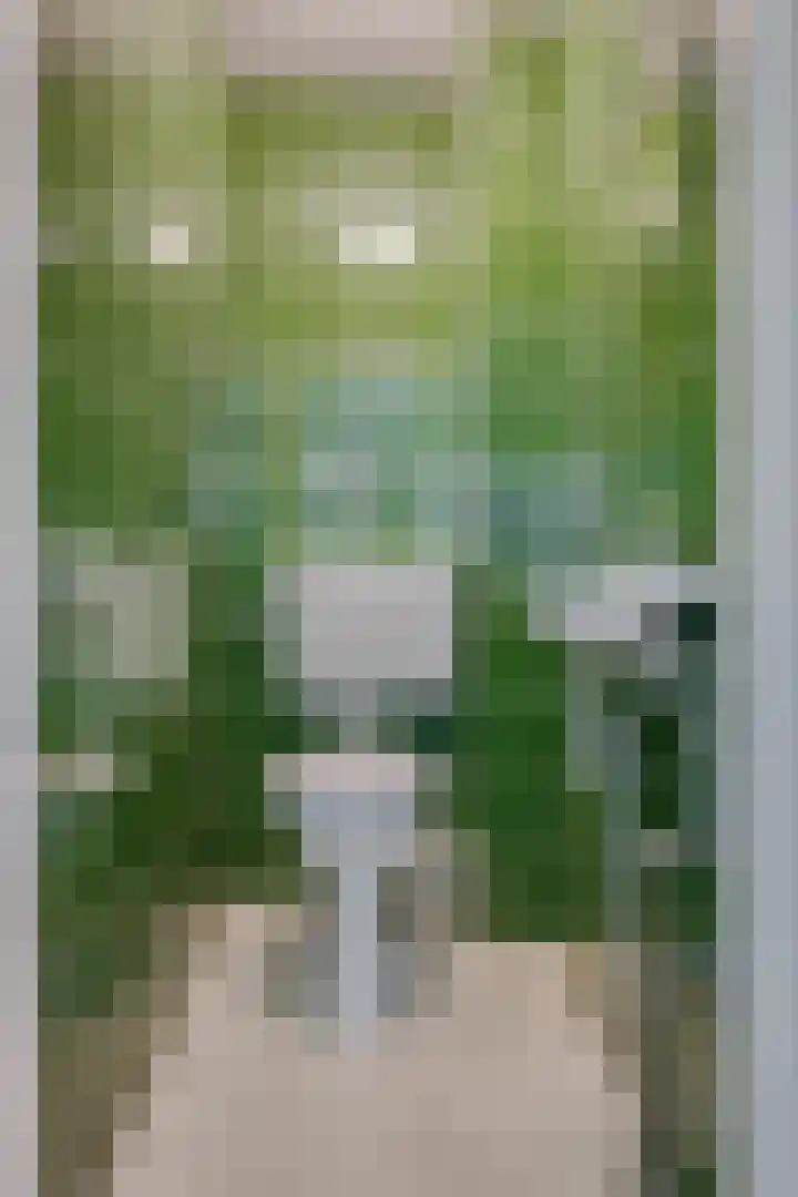 't Hazeveld 51 Nijkerk thumbnail 33